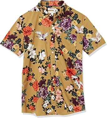 GoodThreads Men's Regular Fit Short Sleeve Printed Poplin Shirt